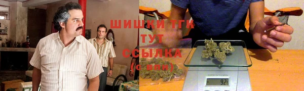 крисы Белоозёрский