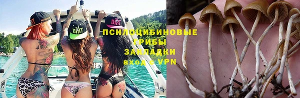 метадон Беломорск